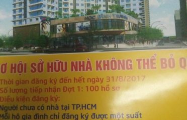 Công Ty TNHH Vinh Nguyễn