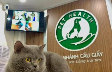 Bệnh viện Thú y PetHealth Cầu Giấy