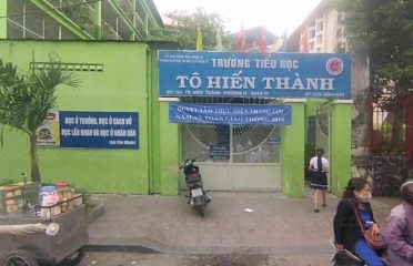 Trường Tiểu học Tô Hiến Thành