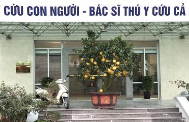 Phòng khám Thú y Cộng Đồng (bs Nên)