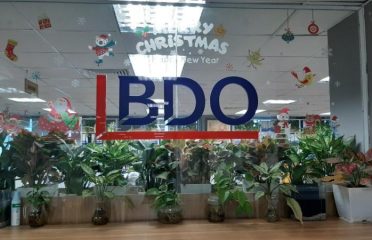 Công Ty TNHH Kiểm toán BDO – BDO Việt Nam