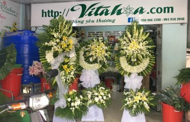 Shop hoa tươi Vitaflower