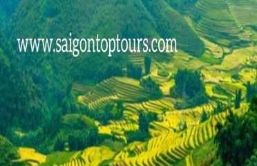 SAIGON TOP TOURS – Ho Chi Minh City Top Tour, Saigon Hallmark Tour, Cu Chi Tunnels, Cao Dai Temple, Mekong Delta Top Day Tours, Mekong Delta Homestay, Floating Markets Tour – Saigon Alleyways