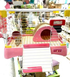 Pet shop miền đất hứa