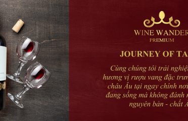 Wine Wander – Hầm rượu vang ngon nhập khẩu, giá rẻ ở TP.HCM