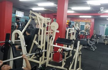 Optimal Gym Vietnam