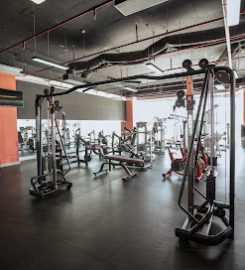 Power Gym – Fitness & Yoga Quận 7