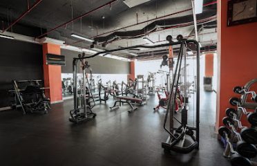 Power Gym – Fitness & Yoga Quận 7