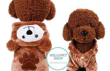 HelloPet Shop – Shop thú cưng