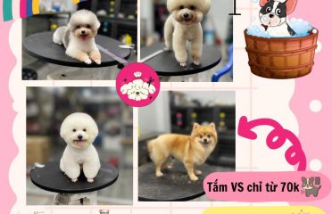 Thỏ Pet – Thiên Đường Thú Cưng