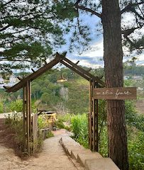 In The Forest Đà Lạt