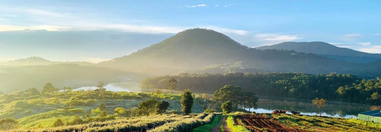 Lavender Dalat Tourist Area