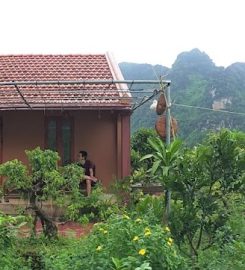 Yen Binh Homestay