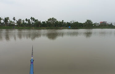 Hồ Câu Tú Anh