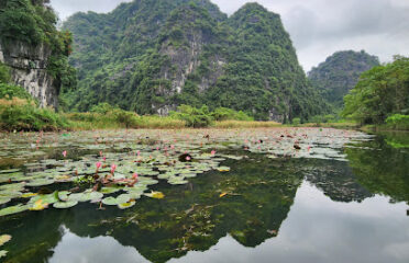 Thung Nắng