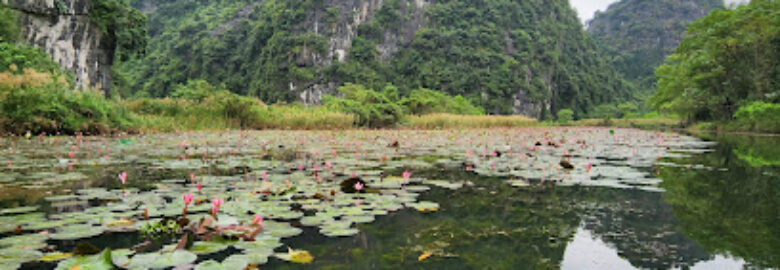 Thung Nắng