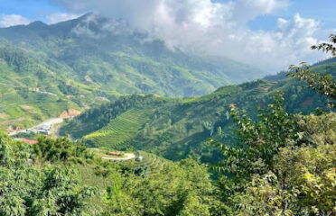 Sapa Green Valley