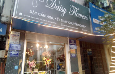 Daisy Flowers – Daisy Shop Hoa Tươi