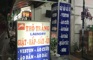 Giặt ủi Thỏ Trắng Quận 7