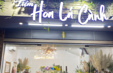 HOA LÁ CÀNH – Shop Hoa Tươi, Lẵng Hoa Đẹp, Tiệm Hoa Tươi, Hoa Khô Mừng Sinh Nhật, Khai Trương Giá Rẻ Hà Nội