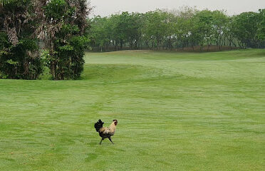 Hanoi Golf Club