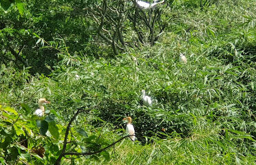 Bang Lang Stork Sanctuary