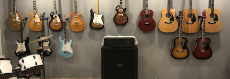 Skullpion Guitar Store