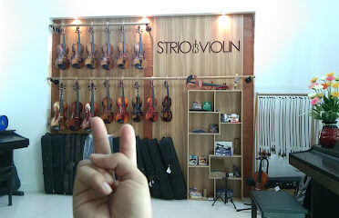 Strio Violin