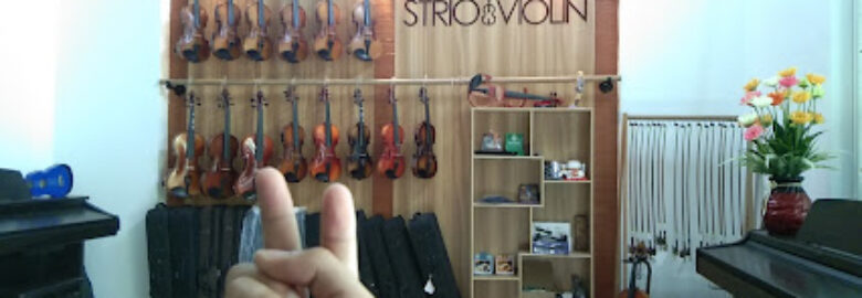 Strio Violin