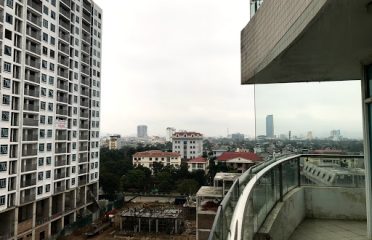 Bể bơi Gardrn Pool