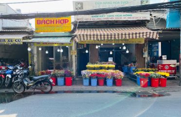 Cửa hàng hoa tươi Bách Hợp