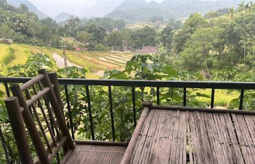 HOMESTAY TOẢN MINH