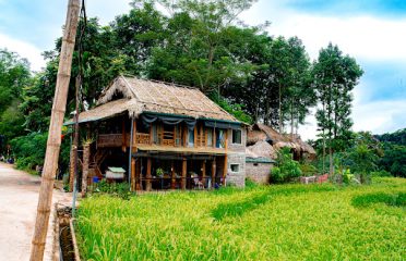 Homestay Minh Lương bản Nủa