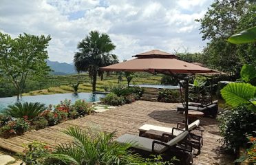 Hong Hoa Homestay – nhà nghỉ cộng đồng phố Đoàn