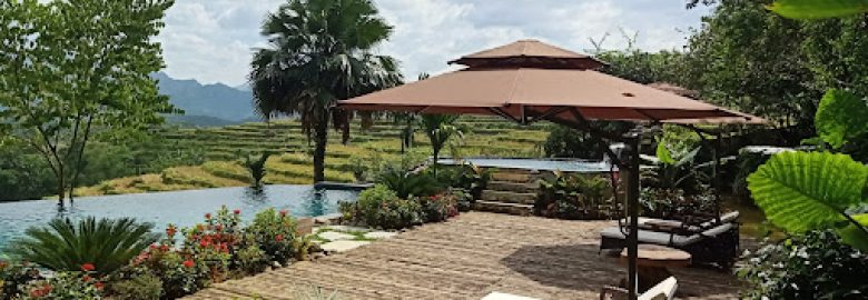 Hong Hoa Homestay – nhà nghỉ cộng đồng phố Đoàn