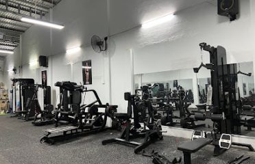 Muscle Lab Gym