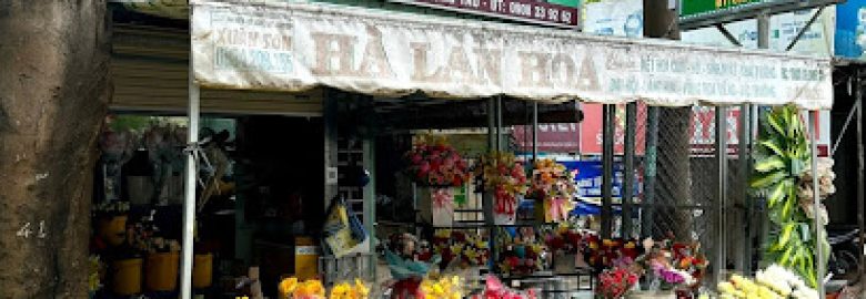 Shop Hà Lan Hoa