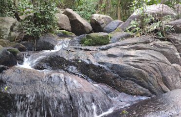 Suối Tiên – Núi Dinh