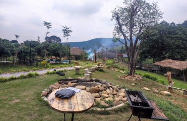 Thành Hưng Homestay