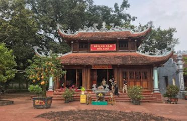 Eighth Lady of Hills Tea Temple