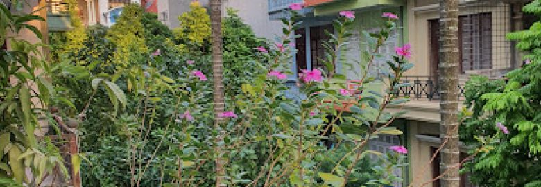 Homestay Hoa Sữa