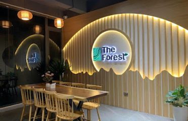 The Forest