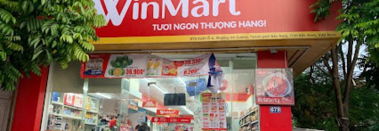 WinMart+ 679 Xuân Ổ A