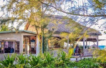 An Bang Beach Cashew tree Bungalow Homestay