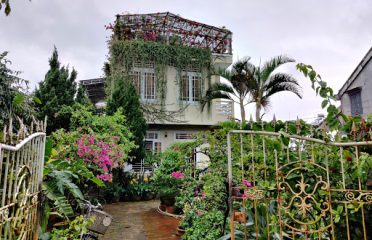 Calm House Hotel Hoi An 1