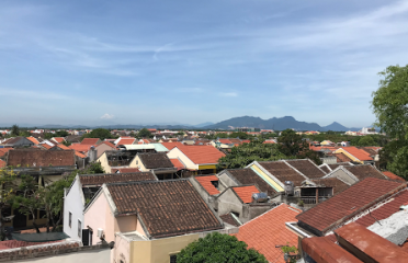 Homestay Hoa Mẫu Đơn