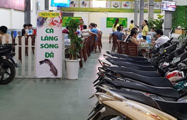 Trâu Tươi Đồng Xanh