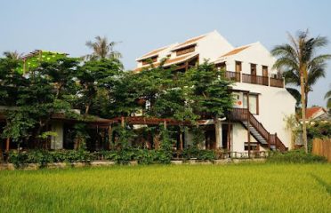 Villa bưởi xanh