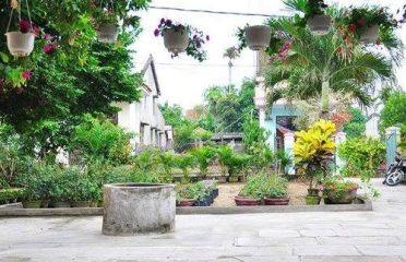 Ylang Ylang Hoi An homestay