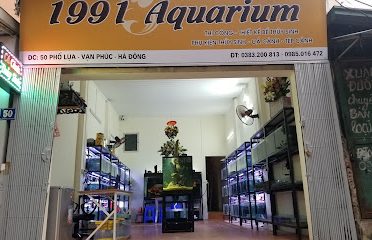 1991 Aquarium